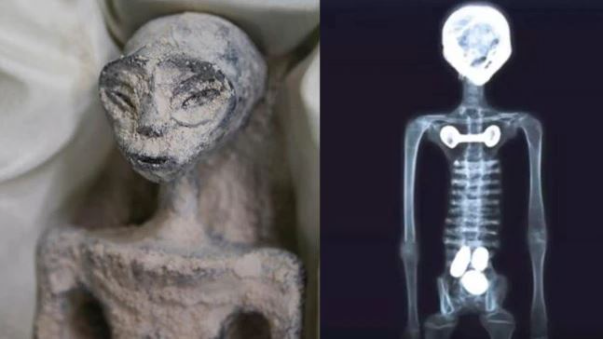 Groundbreaking research: Mexican doctors complete examination of alleged Alien Corpses
