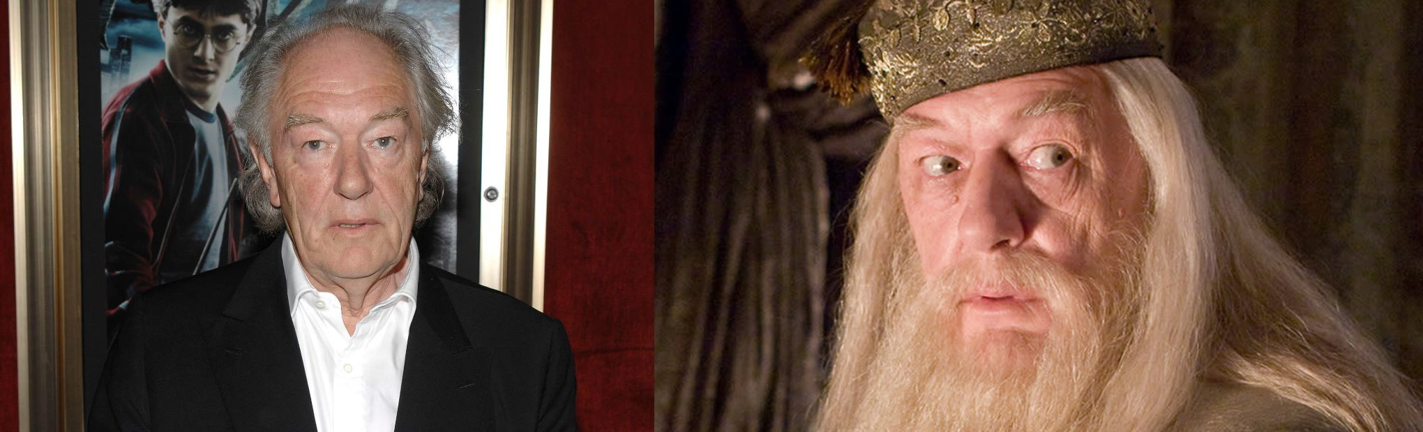 Harry Potter actor Michael Gambon who played Dumbledore died at the age of 82